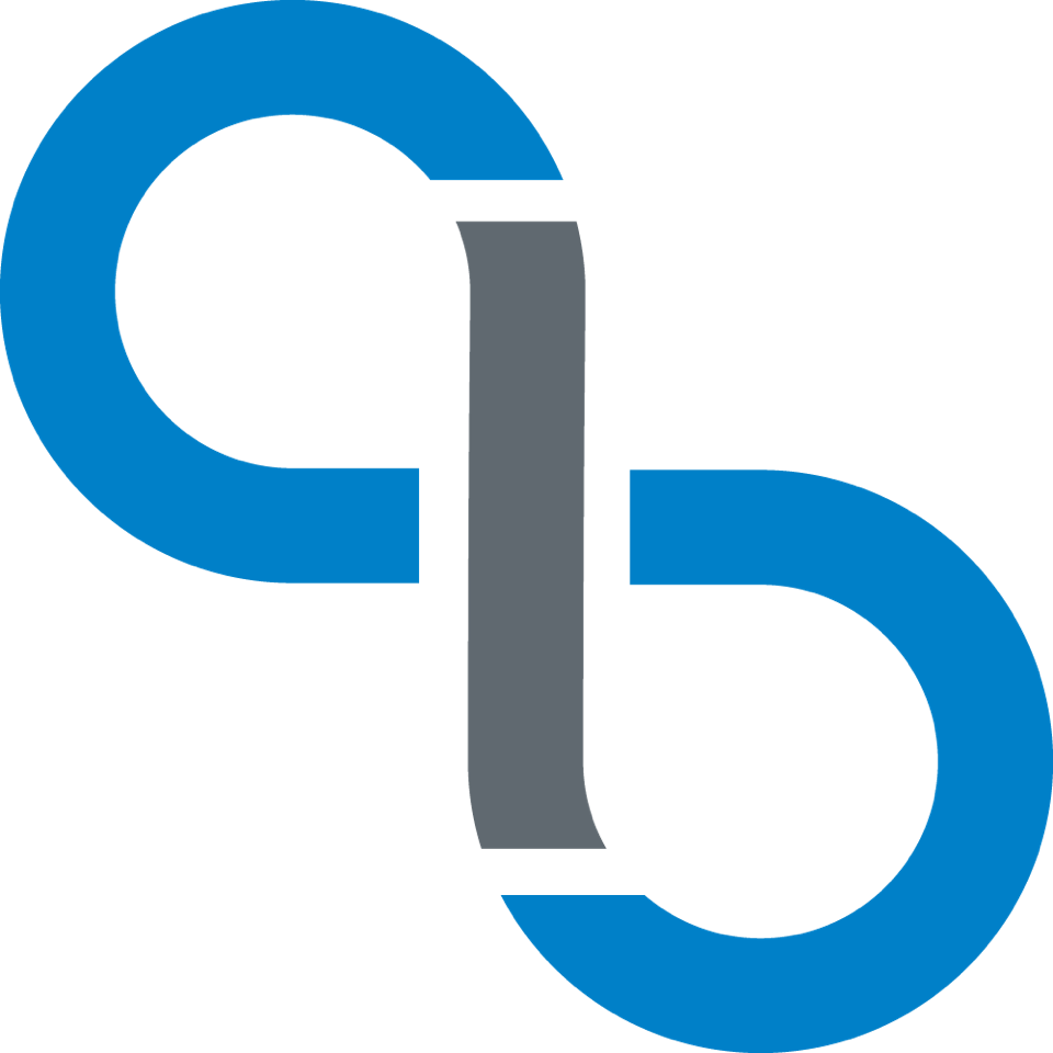 insumma consulting AG Logo